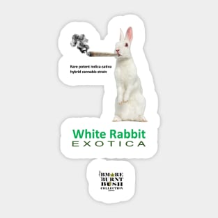 White Rabbit Exotic Hybrid Strain Sticker